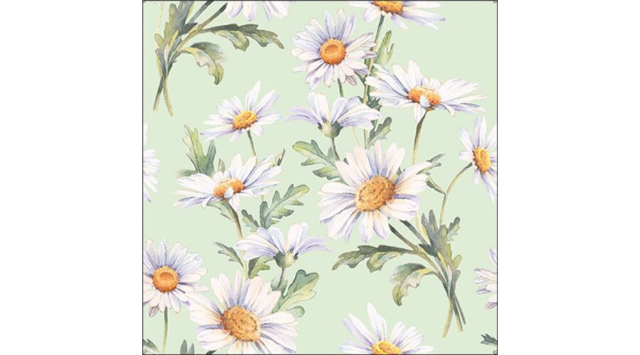 Termék galéria kép