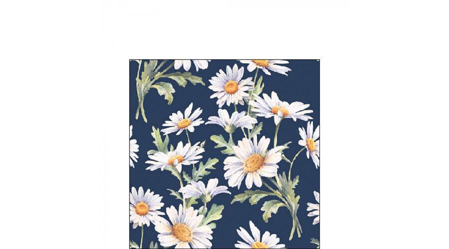 Termék galéria kép