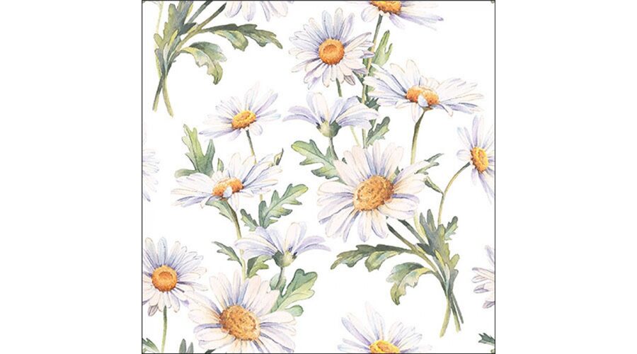 Termék galéria kép