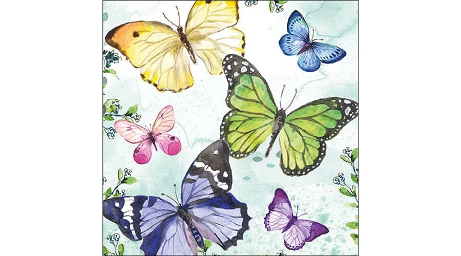 Termék galéria kép