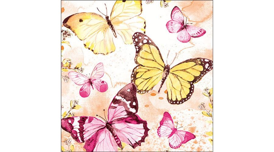 Termék galéria kép