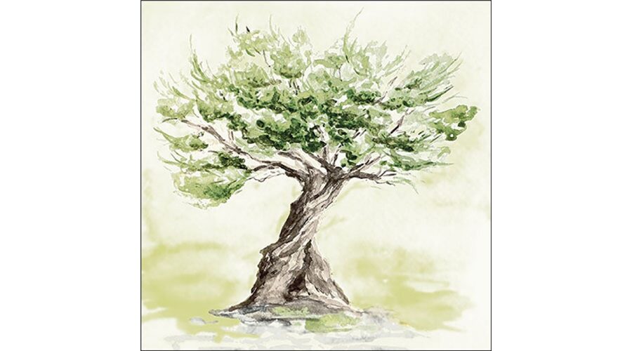 Termék galéria kép