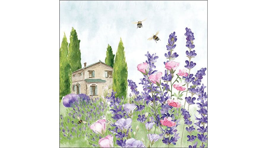 Termék galéria kép