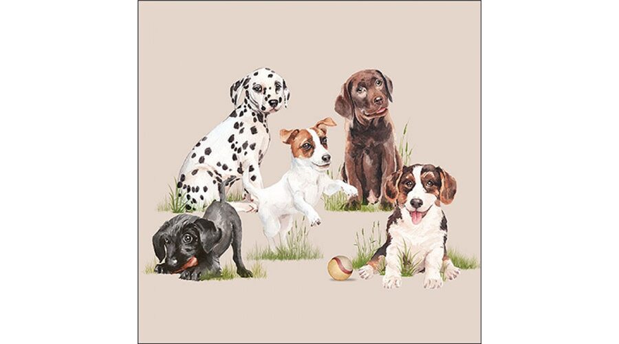 Termék galéria kép