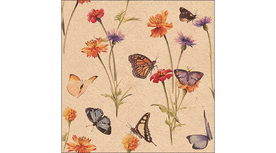 Termék galéria kép