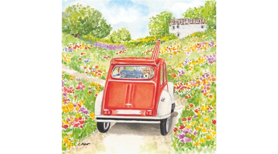 Termék galéria kép