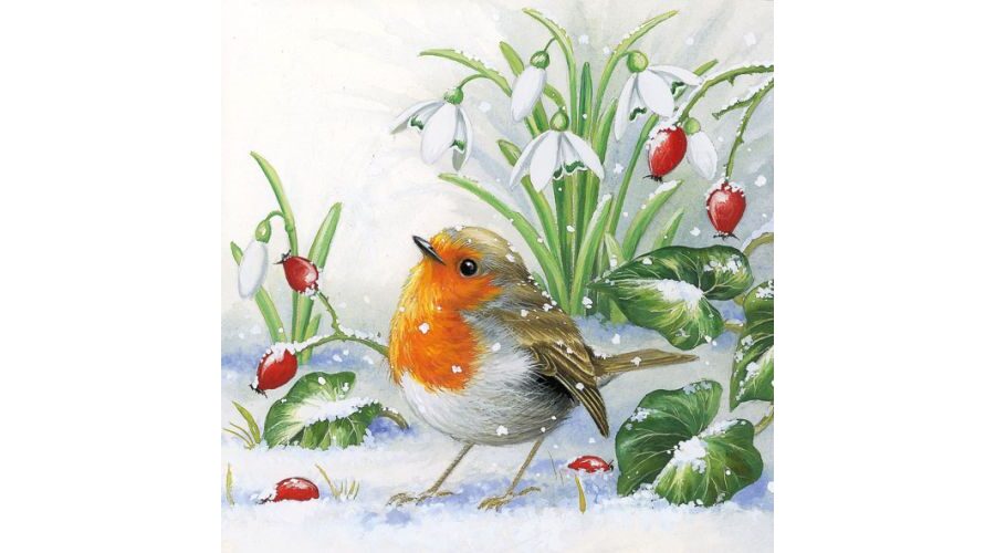 AMB.33304560 Robin papírszalvéta 33x33cm