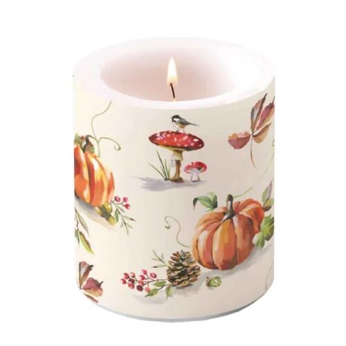 Átvilágítós gyertya Autumn splendour 10x10cm
