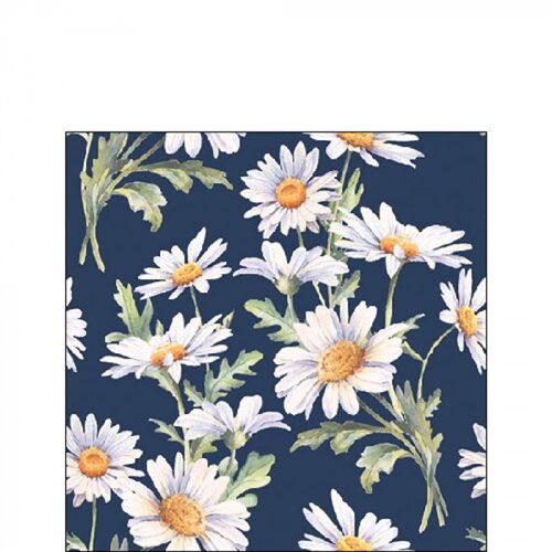 Beautiful daisies blue papírszalvéta 33x33cm, 20db-os