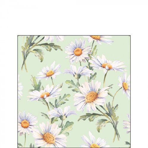 Beautiful daisies green papírszalvéta 25x25cm,20db-os