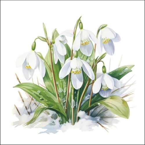 Papírszalvéta 33x33cm, 20db-os Blooming snowdrops