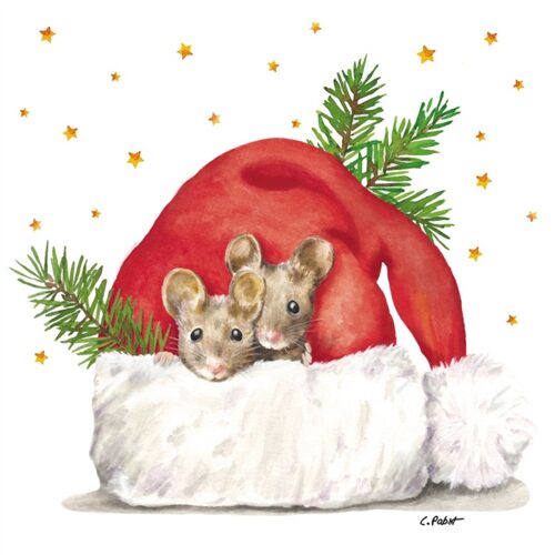 Papírszalvéta 33x33cm, 20db-os, Get cozy