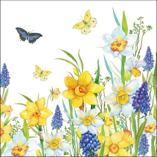 Papírszalvéta 33x33cm, 20db-os Narcis and muscari