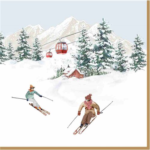 Papírszalvéta 33x33cm, Chalet, 20db-os