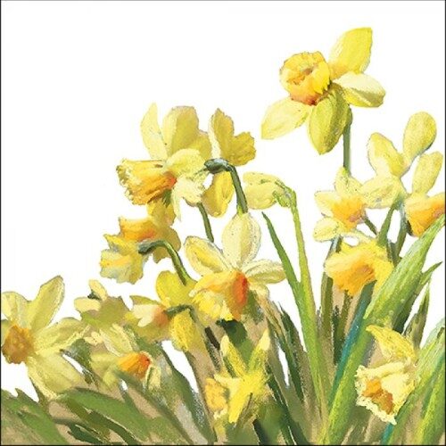 Papírszalvéta Aranyszínű nárciszok 33x33cm, 20db-os
