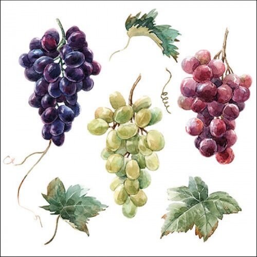 Papírszalvéta Borszőlők 33x33cm, 20db-os
