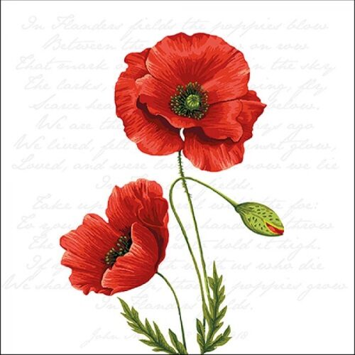 Papírszalvéta Büszke pipacs 33x33cm, 20db-os