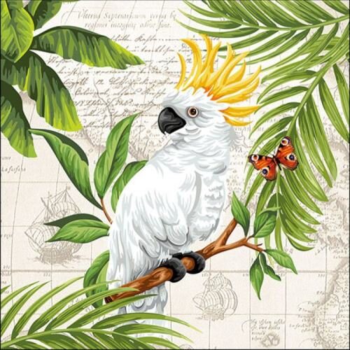 Papírszalvéta Cockatoo 33x33cm, 20db-os
