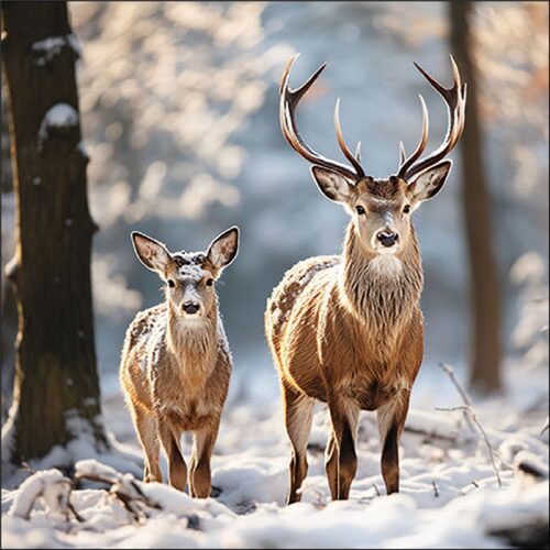 Papírszalvéta Deer in the forest, 33x33cm, 20db-os