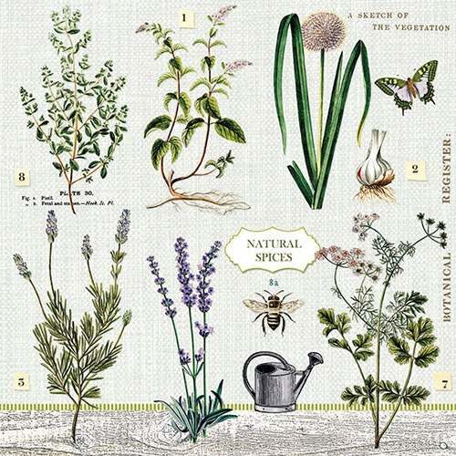 Papírszalvéta Fűszernövények kertje 33x33cm, 20db-os