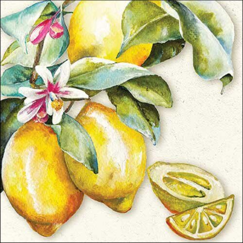 Papírszalvéta Napos Citrom 33x33cm, 20db-os