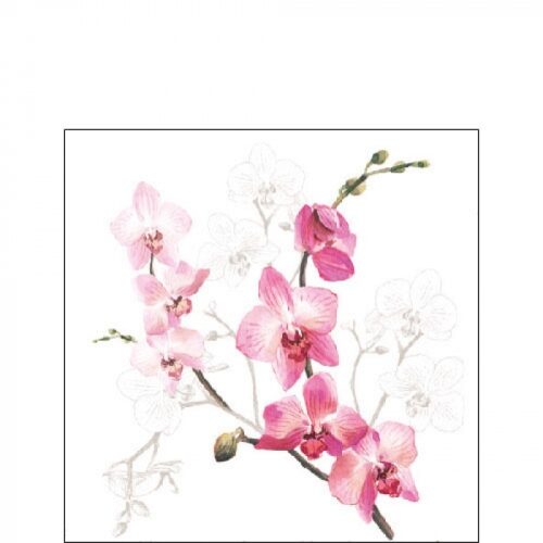 Papírszalvéta Orchidea 25x25cm, 20db-os