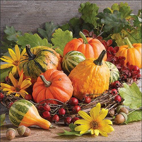 Papírszalvéta Pumpkin varieties 33x33cm, 20db-os