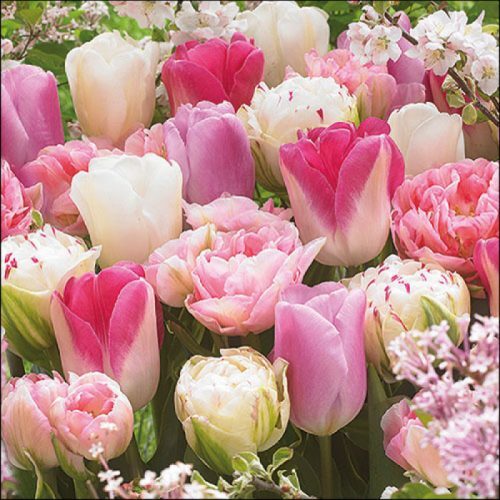 Papírszalvéta Rózsaszín Tulipánok 33x33cm, 20db-os