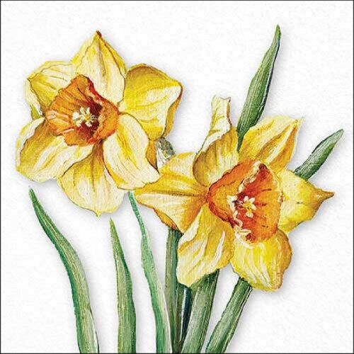 Papírszalvéta Virágzó Nárciszok 33x33cm, 20db-os